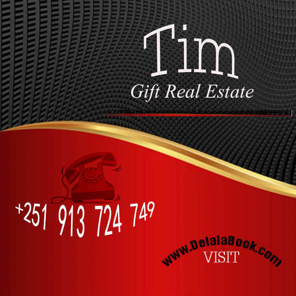 Tim Gift